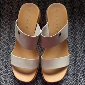 🤍 Reef - Sunset Ibiza 🤍